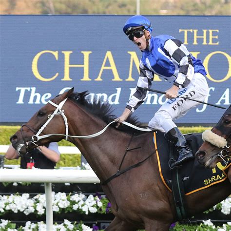 Sydney Cup 2024 Field & Odds .